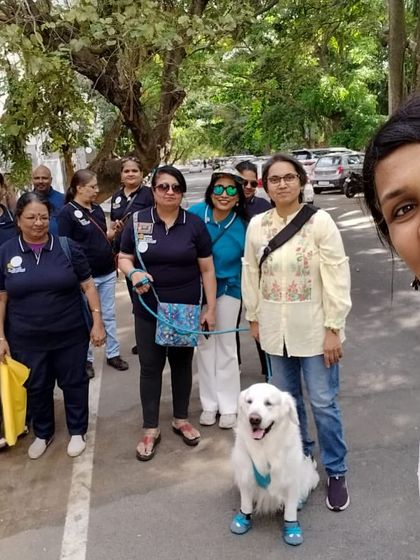 Deepthi - Dog Training & Behavior Modification Community & Group Activities photo 5