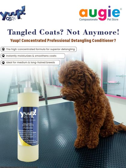 Augie Pets - Pet Grooming Services Shampoos & Conditioners for Every Coat photo 10