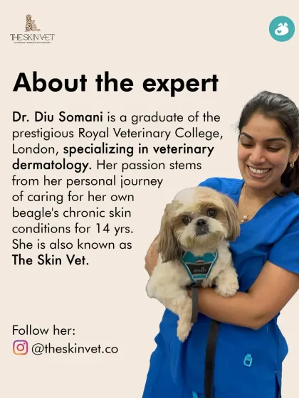 The Pack - Pet Parent Education & Workshops Expert-Led Online Masterclasses photo 37