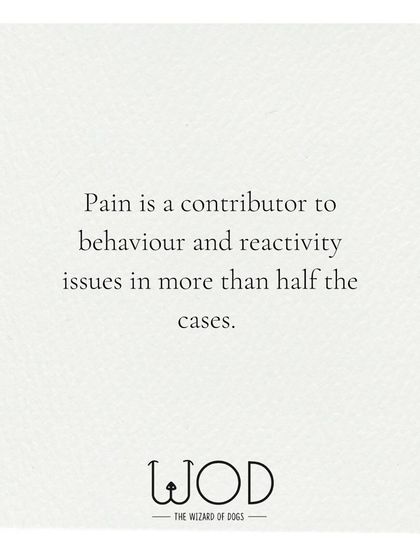 Pain is a major contributor to behavior issues in more than half the cases I see. Sudden reactivity, irritability, or reluctance to be touched can all be signs of underlying pain. Always rule out a medical cause with your vet first.