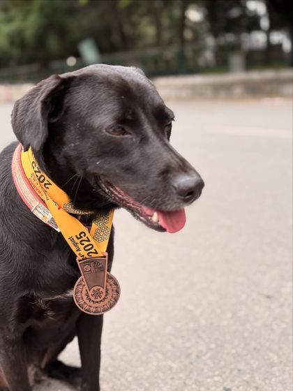 Sujith Kumar - Running & Fitness Coaching My Paw Friends photo 9