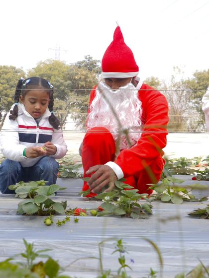 Farmus - Private Parties & Events Special Events & Workshops photo 12