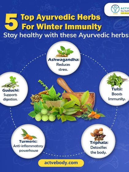 My Top 5 Ayurvedic Herbs for Winter Immunity. To keep my clients healthy through winter, I often turn to these five powerful herbs. Ashwagandha for stress, Tulsi for immunity, Guduchi for digestion, Triphala for detox, and Turmeric as an anti-inflammatory powerhouse.