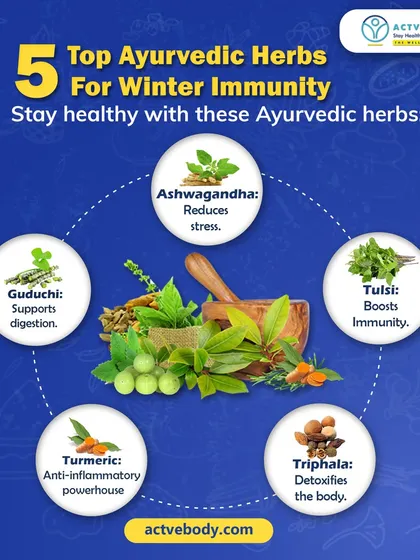 These are my top 5 Ayurvedic herbs for winter immunity. This helpful infographic showcases Ashwagandha, Tulsi, Guduchi, Triphala, and Turmeric, explaining the key benefit of each for staying healthy in the cold.