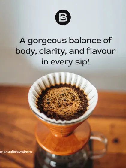 The result of a well-executed pour-over: a gorgeous coffee bed, indicating even extraction. This leads to a cup with a beautiful balance of body, clarity, and flavor.