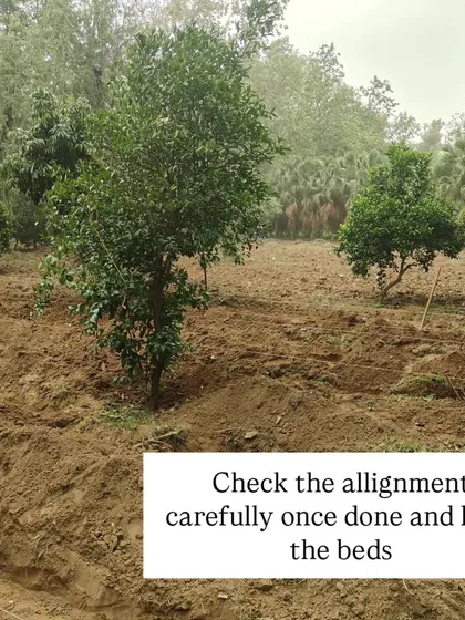 Once the beds are formed, we carefully check the alignment and level them out. This preparation ensures even water distribution and a stable structure for the plants.