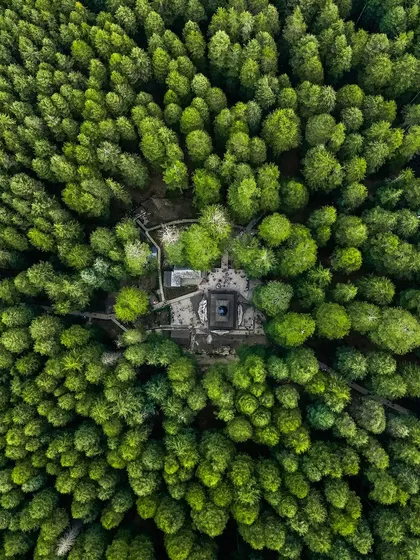 Hidden within a dense deodar forest in Manali, the Hadimba Devi Temple is a sight to behold from above. This aerial photograph shows the temple's unique pagoda-style roof emerging from the lush green canopy, a sanctuary nestled in nature.
