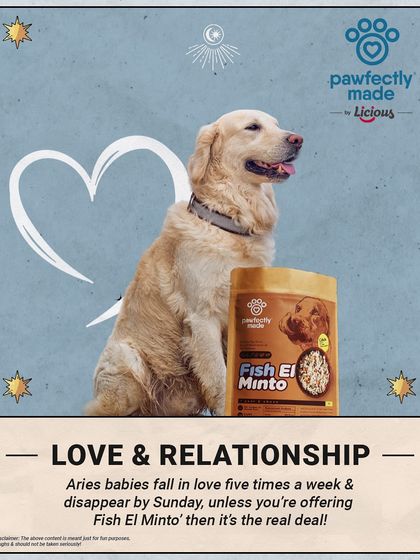 Love & Relationships for an Aries pet: They fall in love five times a week, unless you're offering Fish El Minto. Then it's the real deal.