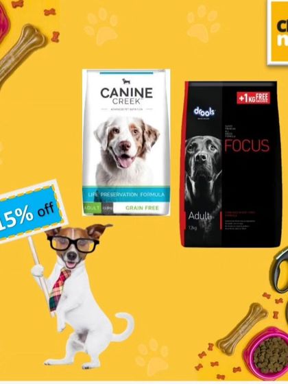 Canine Creek and Drools Focus are two more excellent options for adult dogs. I make sure to provide a variety of high-protein, grain-free choices for your pet's diet.