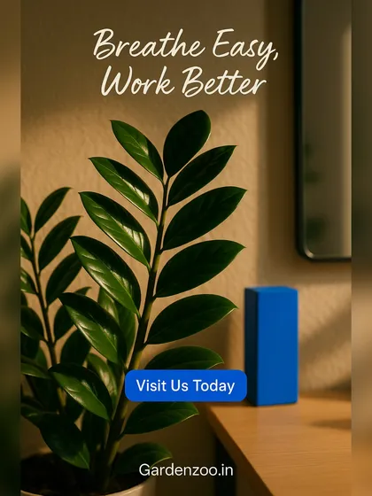 The core benefit of our service is creating healthier workspaces. Plants like this Zamioculcas zamiifolia (ZZ plant) are excellent natural air purifiers, helping your team breathe easier and work better.