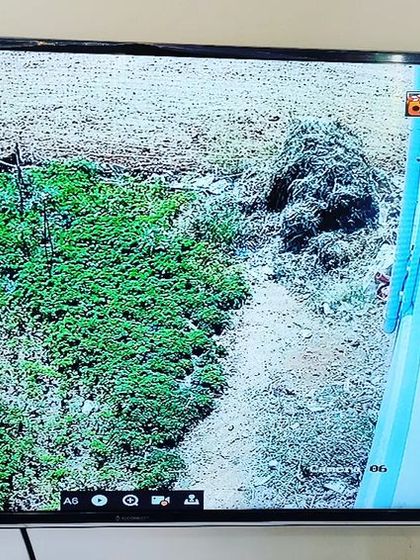 Sadwini Infotech - Security System Installation Residential Security Setups photo 80