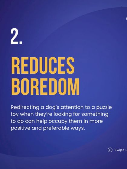 Deepthi - Dog Training & Behavior Modification Enrichment: Puzzles, Play & Confidence Building photo 8