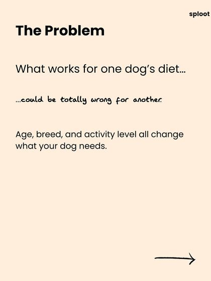 What works for one dog's diet could be completely wrong for another. Age, breed, and activity level are critical factors in determining the right nutrition.