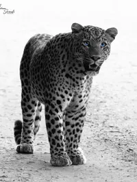 Fine Art Nature Photography