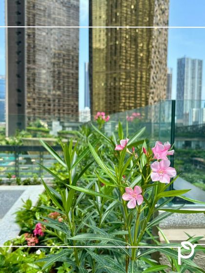 Balcony & Terrace Transformations photo 15