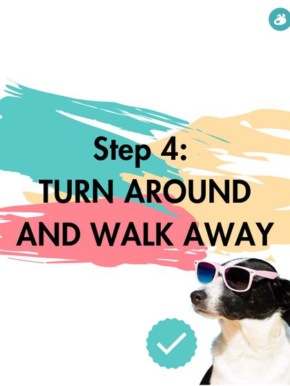 The Pack - Online Pet Parent Community A Voice for Every Dog photo 30