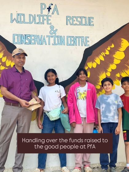 The Earth School - Montessori Primary & Elementary Program A Community of Learners photo 11