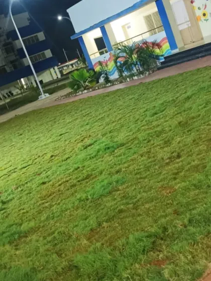 From Dirt to Dream Garden: Our Process photo 6