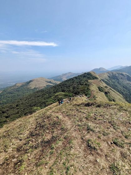 The trail of Nishani Motte, one of the lesser known but equally beautiful treks in Coorg. We love exploring these hidden gems with our groups.