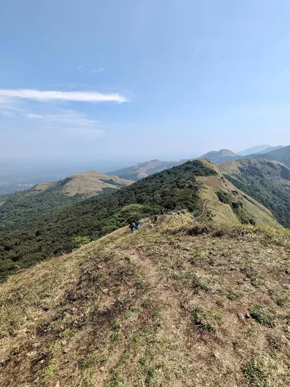 The trail of Nishani Motte, one of the lesser known but equally beautiful treks in Coorg. We love exploring these hidden gems with our groups.