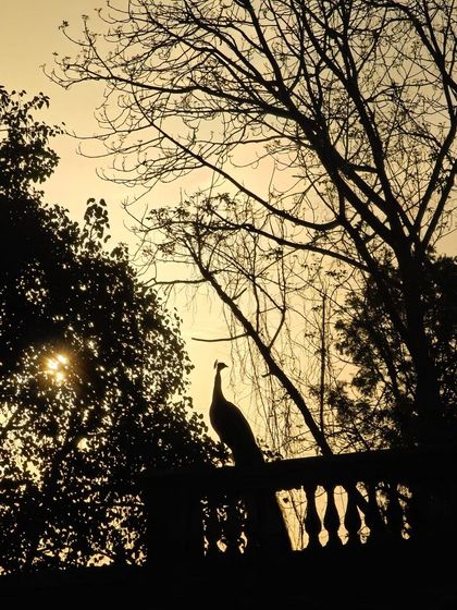 A collection of additional shots from my city explorations, including more angles of Humayun's Tomb, the Taj Mahal, Kanpur's ghats and landmarks, Gwalior resorts, and creative long-exposure light trails.