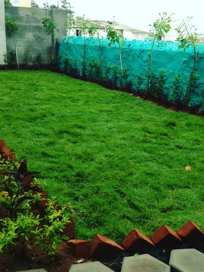 A freshly installed lawn for one of our clients. You can see the new grass taking root, with a clean brick border defining the garden bed.