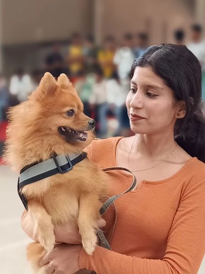 Zigly - Professional Pet Grooming & Spa Community Events & Fun Moments photo 15