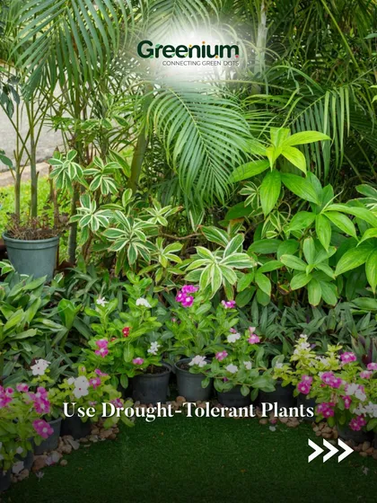 A well-designed landscape using drought-tolerant plants not only looks beautiful but can also increase property value. This lush corner is full of varied textures and colors, creating a rich garden feel.