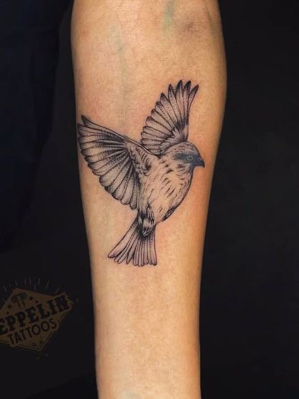 A simple yet detailed sparrow tattoo. Sparrows are often symbols of freedom, loyalty, and hard work.