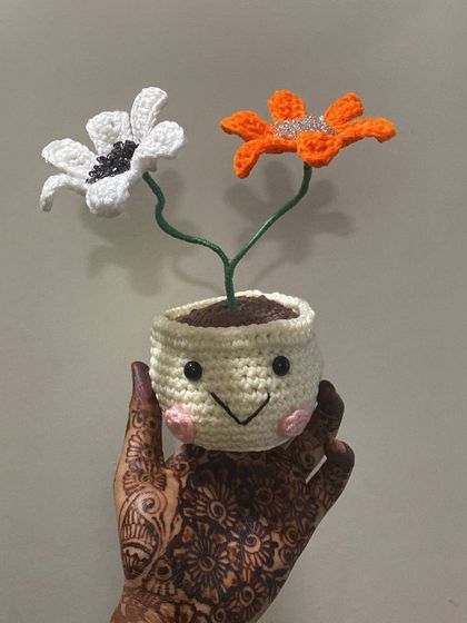 Quirky & Smiley Pots photo 13