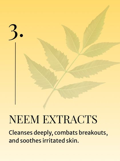 The third powerful ingredient is Neem Extract. Known for its purifying properties, it cleanses deeply, combats breakouts, and soothes irritated skin.