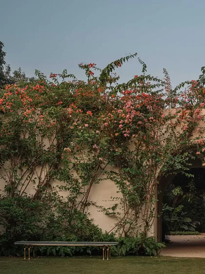 Nature is encouraged to become part of the architecture. Here, bougainvillea climbs the lime-plastered walls, adding color and life, and demonstrating how our buildings are designed to evolve with their landscape.