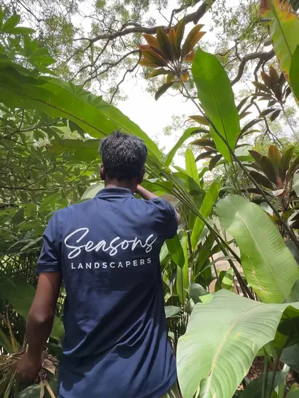 A member of my team, surrounded by lush foliage, represents the hands that nurture every space we touch. I am grateful for the dedication and craft of every person in the Seasons family.