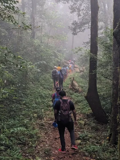 Our group trekking in a single file through the misty and mysterious Shola forests of Kumaraparvatha. This part of the trail is as beautiful as it is challenging.