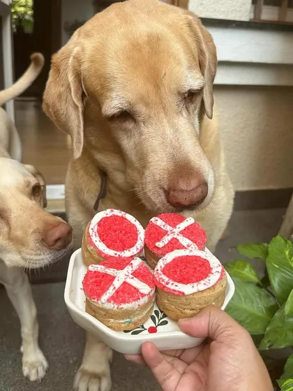 A platter of love, ready to be shared. These Valentine's cookies are perfect for households with multiple dogs.