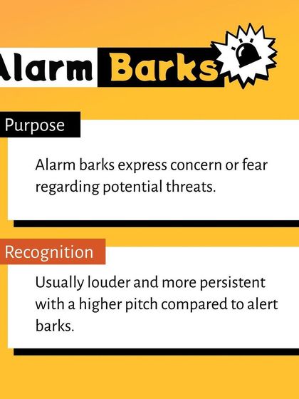 Pethowz - Pet Parent Education Decoding Your Pet's Behavior photo 4