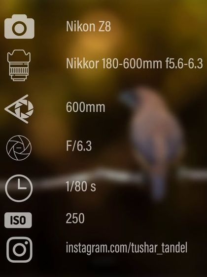 Gear, Tips, and Techniques photo 5