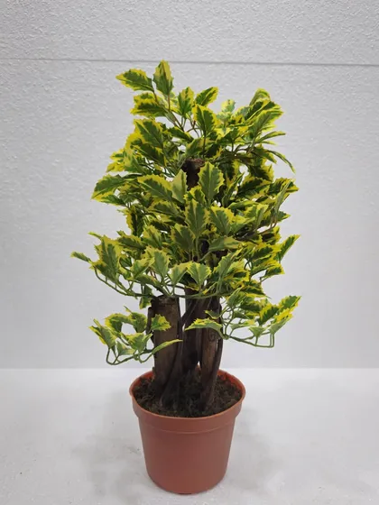 A small artificial plant with variegated yellow and green leaves and a multi-stem trunk.