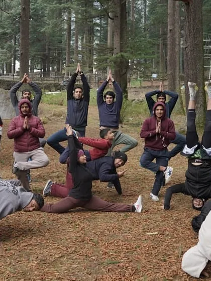 Yoga doesn't always have to be serious. Here the team has some fun with different poses, including headstands and tree poses, after a guided session in the forest.
