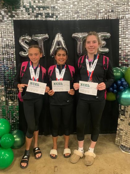 Fun & Fitness - Gymnastics & Tumbling Programs Our Champion Girls Teams photo 21