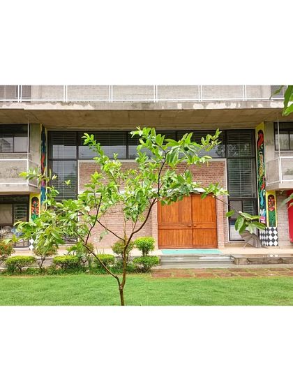 The entrance of the Eklavya campus in Bhopal, with its vibrant murals and lush green lawn. The building integrates art and nature, reflecting the institution's creative and educational ethos.