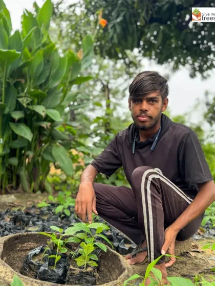 A young worker at our Uldeypur site proudly displays the saplings he is tending to. We believe in involving the next generation in our work, passing on the knowledge and passion for environmental conservation.