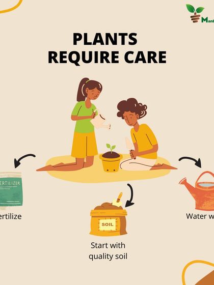 Caring for a plant is a simple, rewarding process. It all starts with quality soil, followed by wise watering and the right fertilizer. This simple illustration breaks down the three pillars of plant parenthood.
