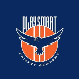 Playsmart Cricket Academy