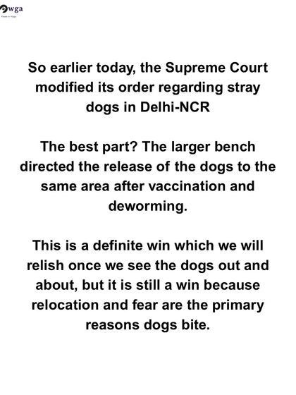 A small win is still a win. We celebrate a modified Supreme Court order that directs the release of dogs back to their own area after vaccination.