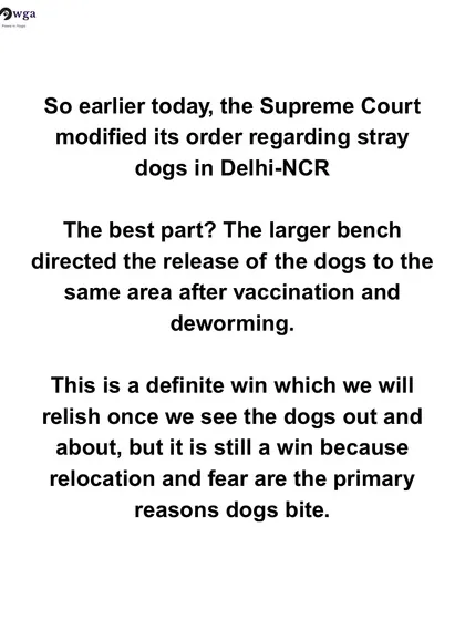 We analyze the best part of the modified SC ruling: the direction to release dogs in the same area after care, which prevents the trauma of relocation. A definite win to be celebrated.