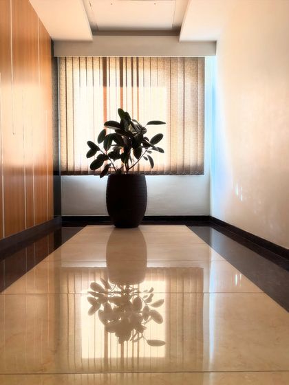 Greening Commercial Spaces photo 61