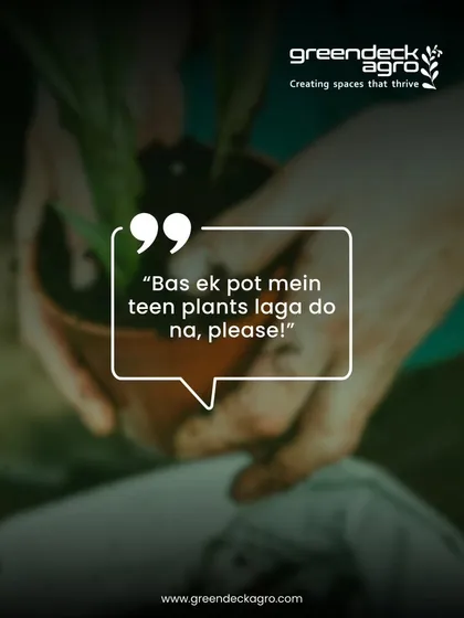 Putting too many plants in one pot can lead to competition and poor growth. We advise on proper planting techniques to ensure every plant has the space it needs.