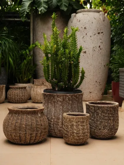 Texture is everything. This is a glimpse into my collection of decorative rustic pots, each with a unique, weathered finish. These pieces are perfect for adding an earthy, vintage feel to your garden or interior space.