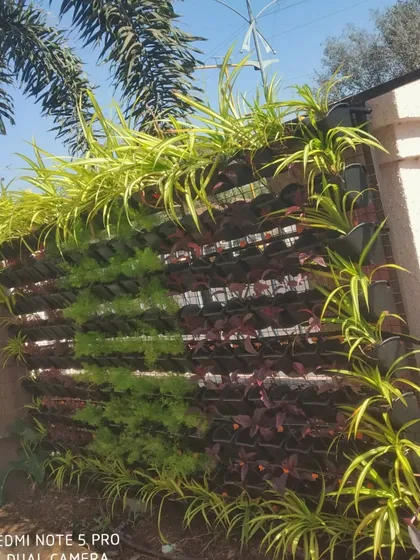 A section of the completed vertical garden, showing a pattern created with green and purple foliage plants.